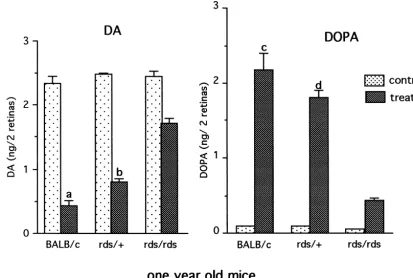 Fig. 7. DA Utilization and synthesis in one year old BALB/c, rds/1meanhighest in BALB/c retinas