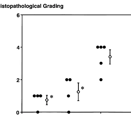 Fig. 5. Histopathological grading of ischemic damages in the hippocam-pal CA1. Ischemic damages were signiﬁcantly reduced in both 30 and338C groups as compared with 368C group.* P,0.05 compared with the368C group by nonparametric Kruskal–Wallis’ h-test followed by Dun-nett’s t-test.