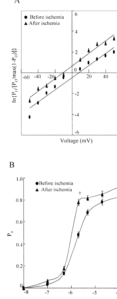 Fig. 2. Comparisons in voltage dependence and Ca21sensitivity of BKchannels in control and post-ischemic CA1 neurons