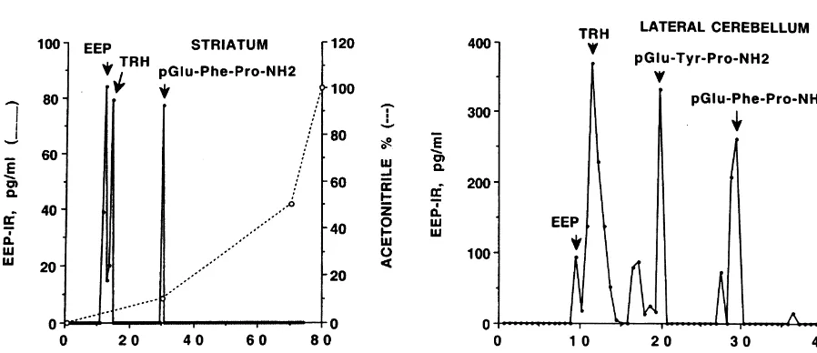 Fig. 1. Proﬁle of EEP immunoreactivity (EEP–IR) following HPLC fractionation of striatum and lateral cerebellum