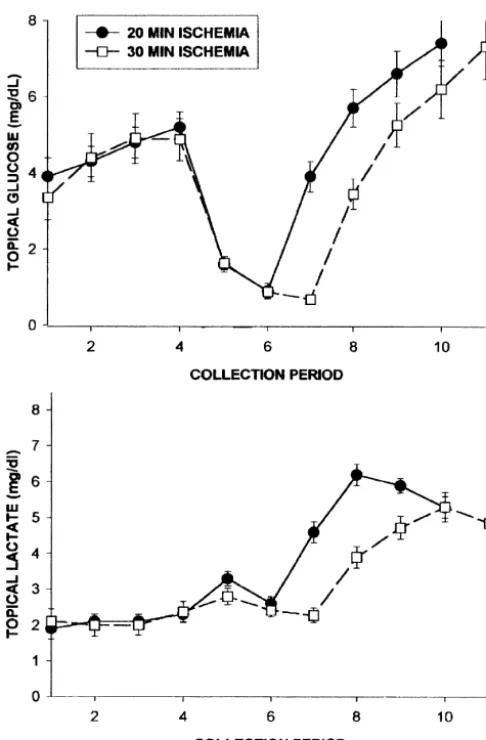Fig. 2. Comparison of the effects of 20-min versus 30-min duration offour-vessel occlusion cerebral ischemias on glucose and lactate levels incerebral cortical superfusates.
