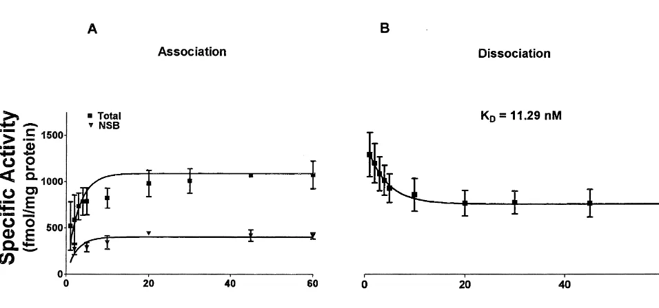 Fig. 1. Association kinetics of [ H]-naloxone (10 nM) binding in3 Rana pipiens spinal cord (A)