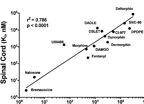 Table 2Competition of [ H]-naloxone (10 nM) binding by selective opioid receptor ligands in
