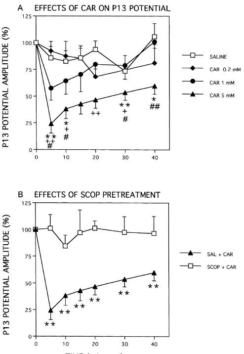 Fig. 2. (A) Dose- and time-dependent effects of injections of CAR intothe PPN on P13 potential amplitude