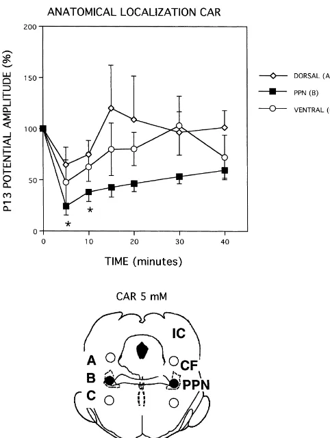 Fig. 4. Anatomical localization of the effects on P13 potential amplitudeof bilateral injections of CAR (5 mM) into the PPN (B) and outside ofn.s
