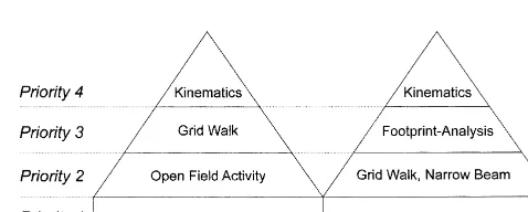 Fig. 4. Schematic illustration of an efﬁcient behavioral testing design. Itshows a pyramidal structure with four priority categories of tests: basedon the outcome in the BBB score, animals can be divided into groups oflow and high locomotor ability