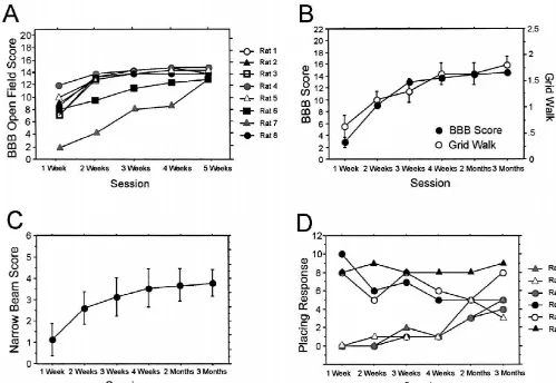 Fig. 2. Time course of motor recovery in different behavioral tests. (A) Time course of eight animals after midthoracic dorsal hemisection lesion in theBBB score starting from 1 week up to 5 weeks postoperatively