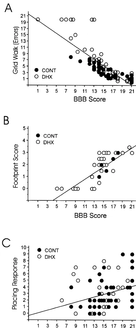 Fig. 3. Correlations of behavioral parameters. (A) Scattergram of acorrelation between the BBB score and the number of errors produced ona grid in animals with hemisection (DHX) or contusion injury (CONT).(B) Correlation between the BBB score and the footp