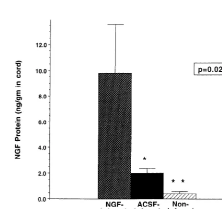 Fig. 2. NGF levels in spinal cord 4 days after induction of ischemia, asdetermined by ELISA.