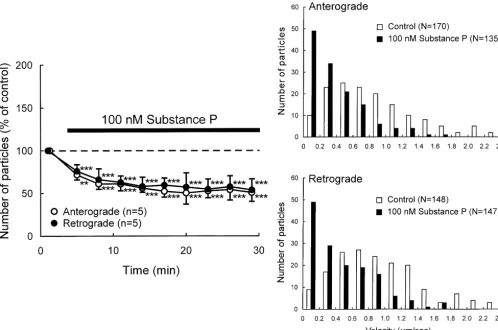 Fig. 2. Effects of substance P on axonal transport in DRG neurons. (A) Percent changes in the number of transported particles moving in anterograde andretrograde directions induced by application of 100 nM substance P