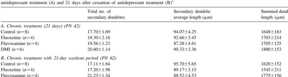 Table 3Summary of the number of secondary dendritic branches, average length per dendrite, and summed dendritic length (