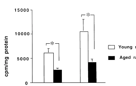 Fig. 1. Basal and veratridine-induced3in aged rats (*L-[ H]citrulline formation incolonic tissues obtained from young and aged rats