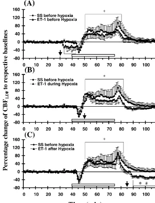 Fig. 3. Regional (striatal) CBFresponses are shown following intrastriatal injection of ET-1 (40 pmol) (A) 10 min before (n58), (B) during (n58), and(C) 10 min after the 35 min period of hypoxia (LDFn510)