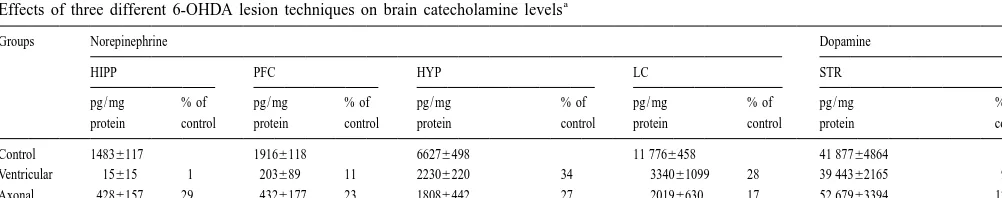 Table 1Effects of three different 6-OHDA lesion techniques on brain catecholamine levels