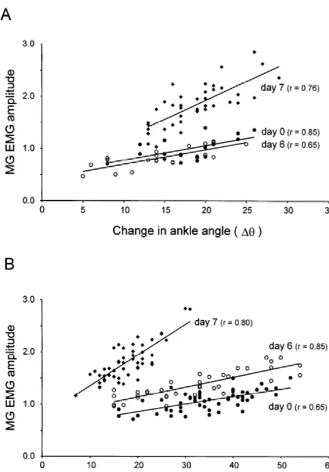 Fig. 2. Use-dependent increase in the slope of the relationship betweenthe MG EMG amplitude and change in ankle angle in two animals
