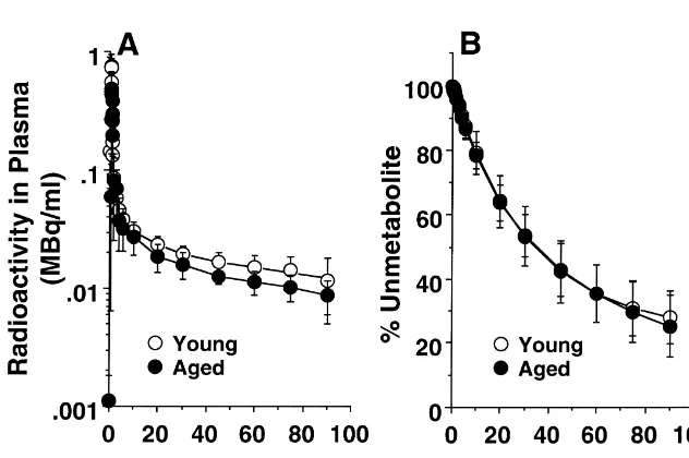 Fig. 2. Time–activity curves of [ C]MDL100,907 in the plasma of young and aged monkeys following intravenous injection