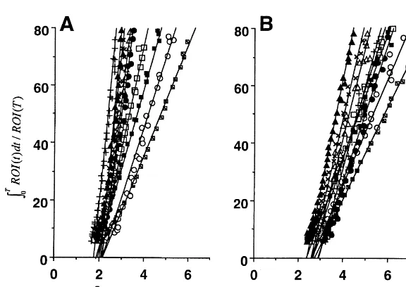 Fig. 3. Time–activity curves of [ C]MDL100,907 in the brains of young (A) and aged (B) conscious monkeys
