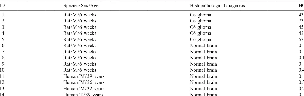 Table 2HO-1 immunoreactivity in rat C6 gliomas and in rat and human control brains