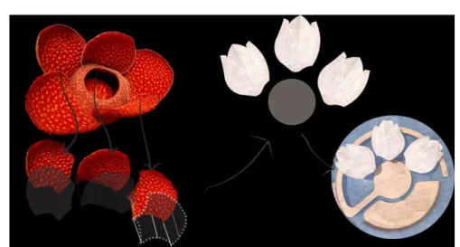 Gambar  2.22: Trasnformasi Biomorfik Bunga Raflesia Pada Elemen Bentuk Atap   Sumber: Penulis 2020 