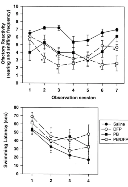Fig. 4. The effect of chronic administration of DFP alone or in combina-tion with pyridostigmine bromide (PB) on olfactory reactivity and watermaze testing