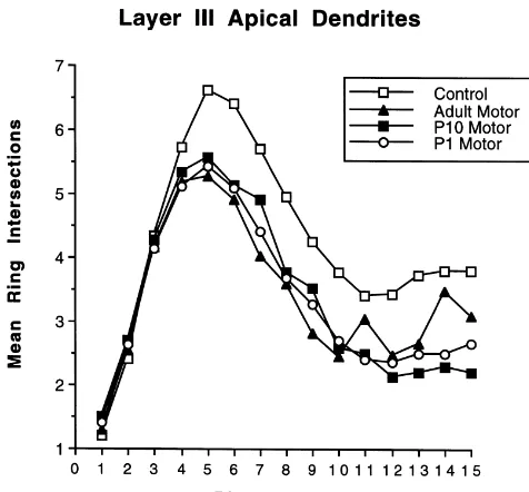 Table 2Summary of dendritic spine density on basilar branches in layer V of area