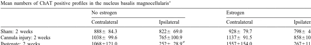 Table 1Mean numbers of ChAT positive proﬁles in the nucleus basalis magnocellularis