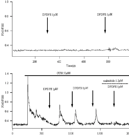 Fig. 1. DPDPE elevated in the presence of carbachol. (A) No obvious ﬂuorescence ratio increased in most of the cells tested (91% of 130) when dDPDPE (1 opioidreceptor agonist, DPDPE (1 mM) was applied alone