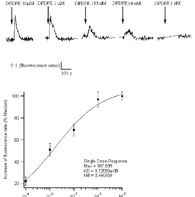 Fig. 2. Concentration dependence of DPDPE-induced ratio increases in single SH-SY5Y cell
