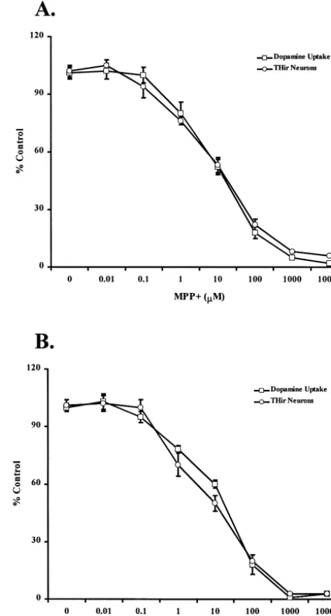 Fig. 1. Effects of increasing concentrations of MPP1then processed for high afﬁnity DA uptake and TH immunocytoch-emistry