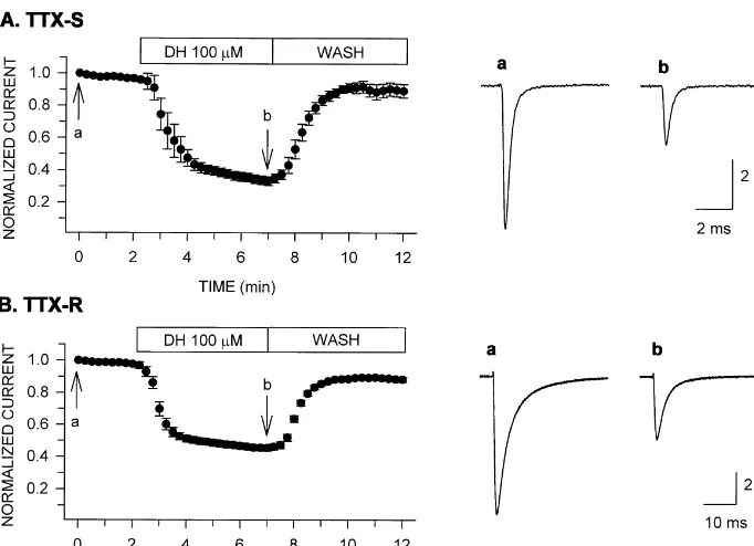 Fig. 2. Dose–response relationship for diphenhydramine block of TTX-S(d) and TTX-R (s) sodium currents
