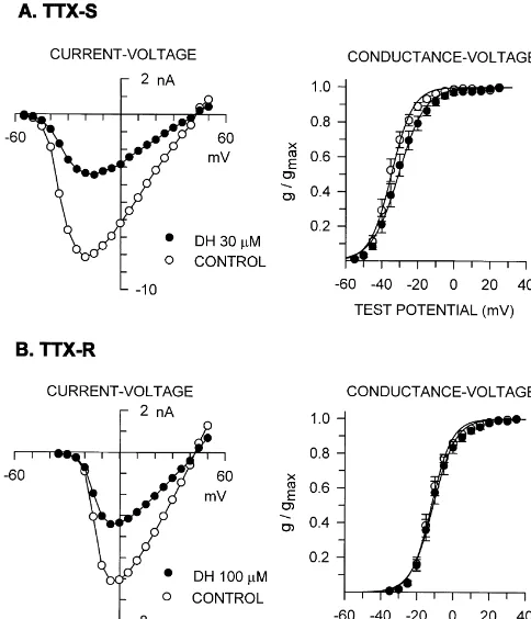 Fig. 3. Representative current–voltage relationship curves and the con-ductance–voltage relationship curves for TTX-S (A, n58) and TTX-R(B, n57) sodium currents before and after diphenhydramine treatment for5 min