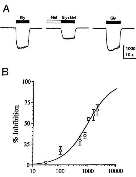Fig. 1. Melatonin inhibits the whole-cell current induced by glycine. (A)Melatonin (Mel) (1 mM) inhibits the current induced by 50melatonin