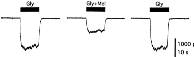 Fig. 3. Inhibition of the glycine response by melatonin is not agonist-dependent. Melatonin (1 mM) inhibits rapidly and reversibly the current induced by50 mM glycine in the absence of melatonin prepulse.