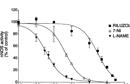 Fig. 2. Dose–response curve of the inhibition of nNOS activity byL-NAME, 7-NI and riluzole in the hippocampus
