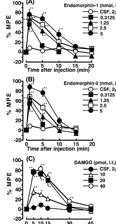 Fig. 1. Time course of effects of i.t. administered endomorphin-1 (A),endomorphin-2 (B) and DAMGO (C) in the mouse paw-withdrawal test.