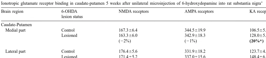 Table 1Ionotropic glutamate receptor binding in caudate-putamen 5 weeks after unilateral microinjection of 6-hydroxydopamine into rat substantia nigra