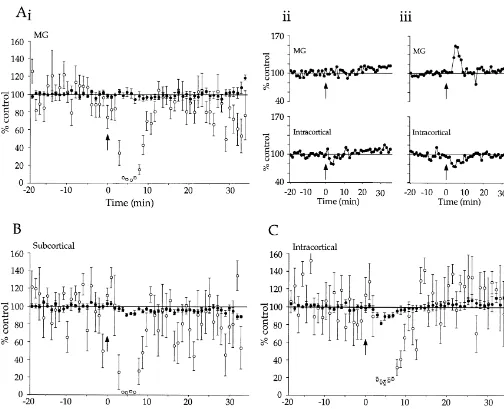 Fig. 6. Effects of carbachol on intact thalamocortical slice responses to MG, SC and IC stimulation