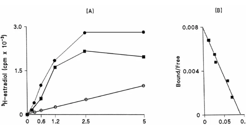 Fig. 1. Saturation (A) and Scatchard analysis (B) of3H-estradiol binding in the cytosol of the female frog (Rana esculenta) hypothalamus