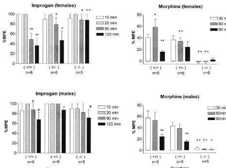 Fig. 1. Effects of improgan (left) and morphine (right) on antinociceptive scores (% MPE, mean6meanS.E.M., ordinate) in three genotypes of MOR-1 knockoutmice