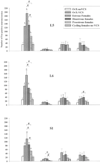 Fig. 4. Histograms displaying the number of Fos-labeled neurons in the dorsal horn (DH), intermediolateral cell column (ILC), dorsal grey commissure(MGC) and ventral horn (VH) of the L , L and S spinal cord in vaginocervical stimulated females of both cycl