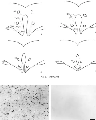 Fig. 1. (continued)