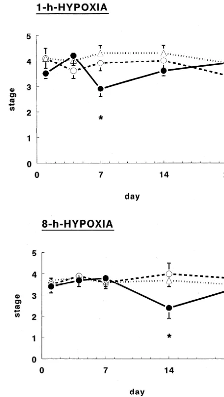 Fig. 1. The time course of the effect of hypoxic preconditioning (9% O ;2exposed (sham ex.) controls
