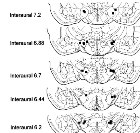 Fig. 3. Schematic representation from Paxinos and Watson showing theinjection sites corresponding to the dorsal LH in animals exposed to theDEV diet