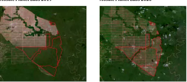 Gambar Deforestasi PT. Internusa Jaya Sejahtera di bagian selatan Periode 2020 seluas  695,7 hektar