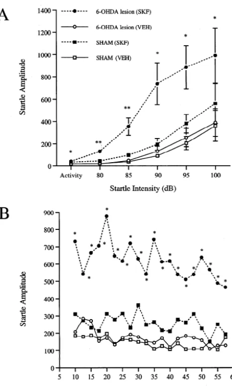 Fig. 4. Dose-dependent enhancement of startle by Llesioned rats. Signiﬁcant differences from vehicle response: *-DOPA in 6-OHDA-P,0.05,**P,0.005.