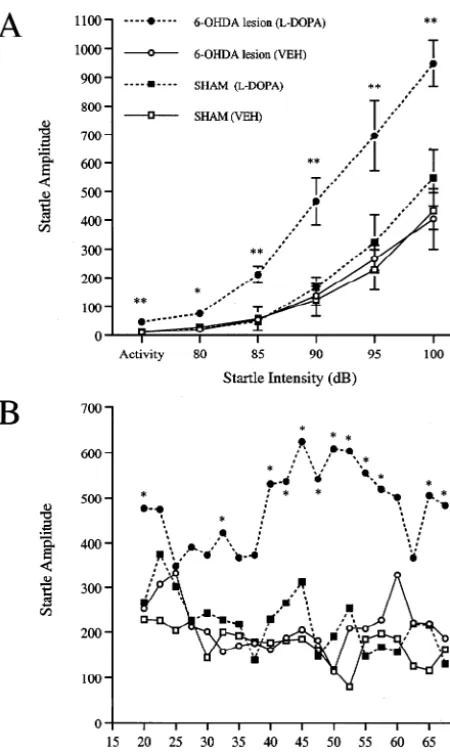 Fig. 5. Enhancement of startle by L-DOPA (10 mg/kg) in 6-OHDA-lesioned versus SHAM rats across intensity (A) and time (B)