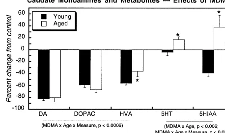 Fig. 1. Effects of aging and MDMA treatment on levels of DA and its metabolites, DOPAC and HVA, and on 5-HT and its metabolite, 5-HIAA