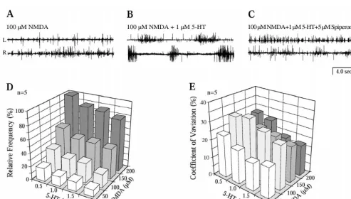 Fig. 1. 5-HT improved NMDA induced locomotor burst generation in L. ﬂuviatilis. (A) In the isolated spinal cord of L