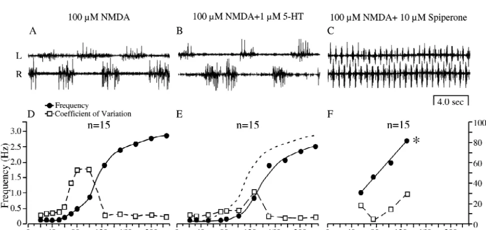 Fig. 2. Blockade of 5-HT1A receptors increased the frequency and the coefﬁcient of variation of NMDA-induced ﬁctive locomotion in PNote that the presence of spiperone (10under control (D), 5-HT (1The traces show examples of recordings under control conditi