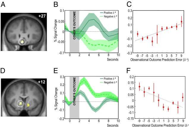 Fig. 4.Activity in VMPFC and ventral striatum corresponding to observational outcome prediction errors during the outcome of the other player